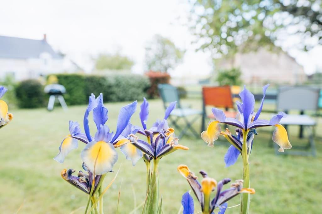 Le Beaumont • La Belle Campagne • La Plenitude Villa Deols Bagian luar foto
